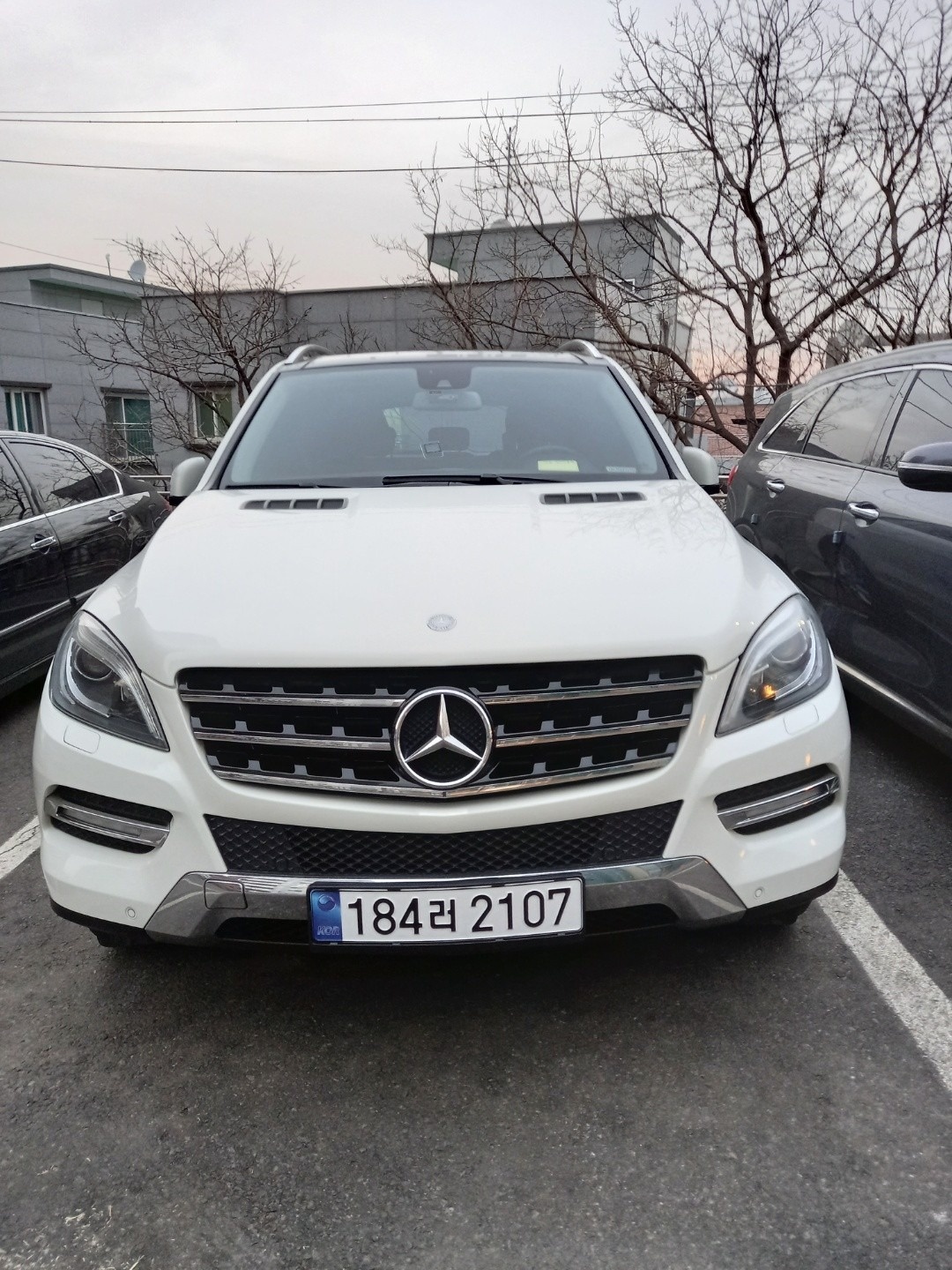 M 클래스 W166 ML250 블루텍 4Matic (204마력) 매물 썸네일