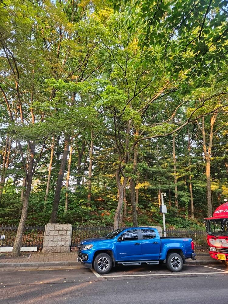 리얼 뉴 콜로라도 가솔린 3.6 AWD Z71-X 매물 썸네일