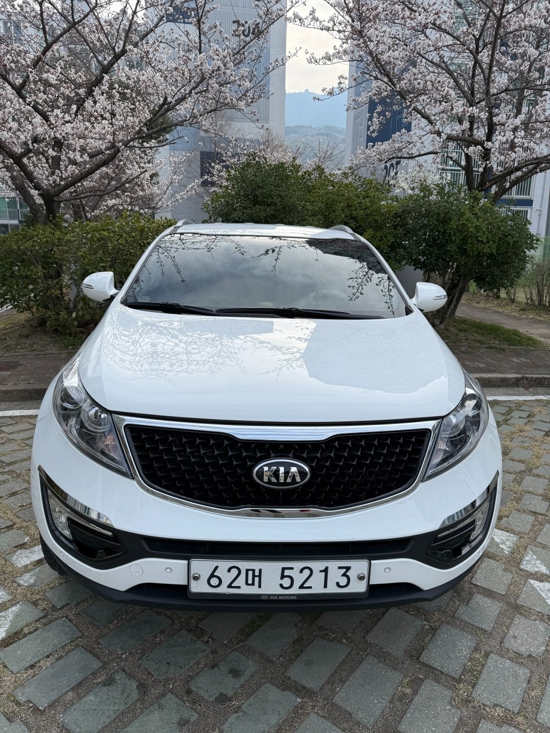 더 뉴 스포티지 R SL 디젤 2.0 FWD 프레스티지 매물 썸네일