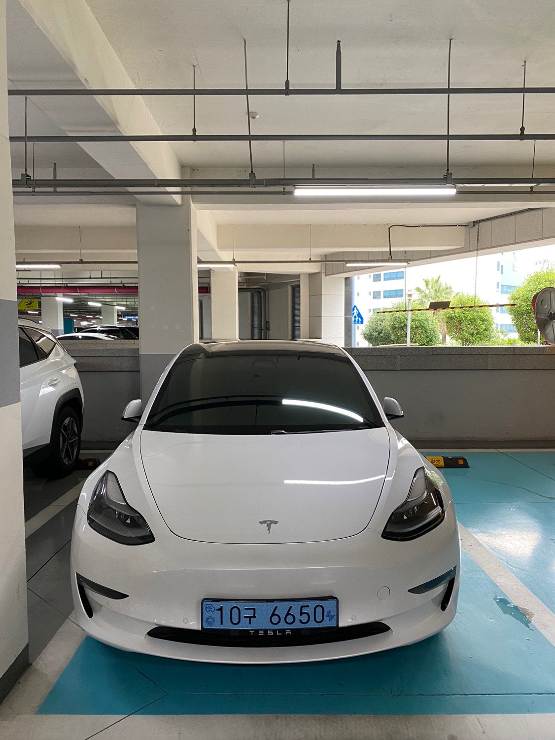 모델 3 BEV(75kWh) AWD 롱 레인지 매물 썸네일