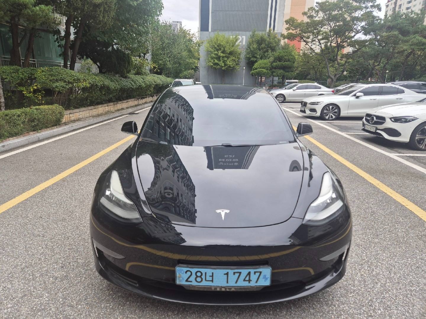 모델 3 BEV(50kWh) RWD 스탠다드 레인지 플러스 매물 썸네일
