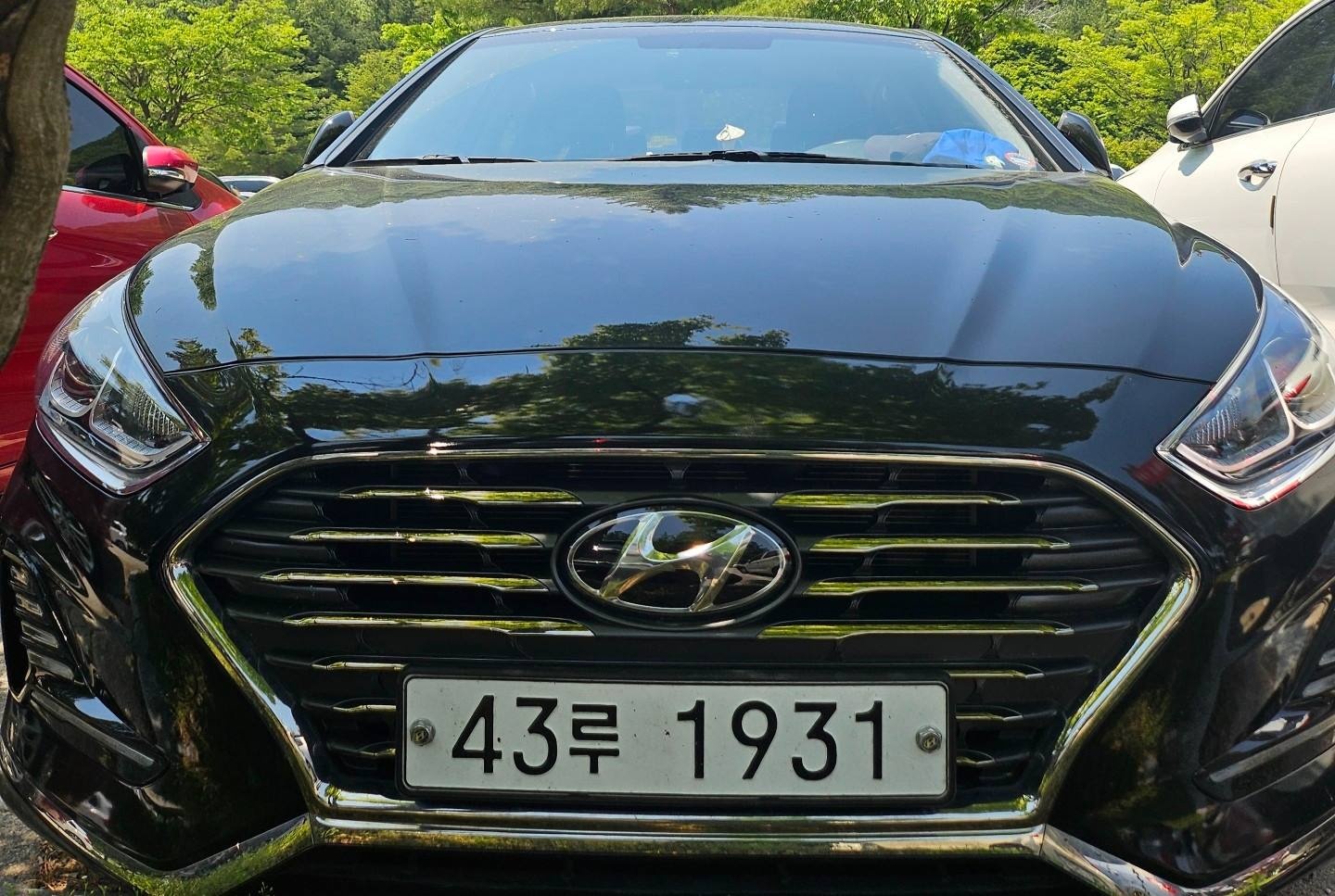 쏘나타 뉴 라이즈 LF. 19 2.0 CVVL FWD 스마트 스페셜 매물 썸네일