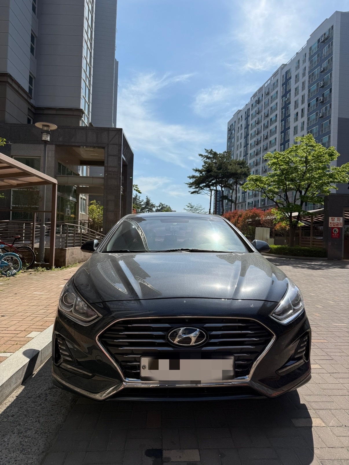 쏘나타 뉴 라이즈 LF. 19 LPi 2.0 렌트카 FWD 스타일 매물 썸네일