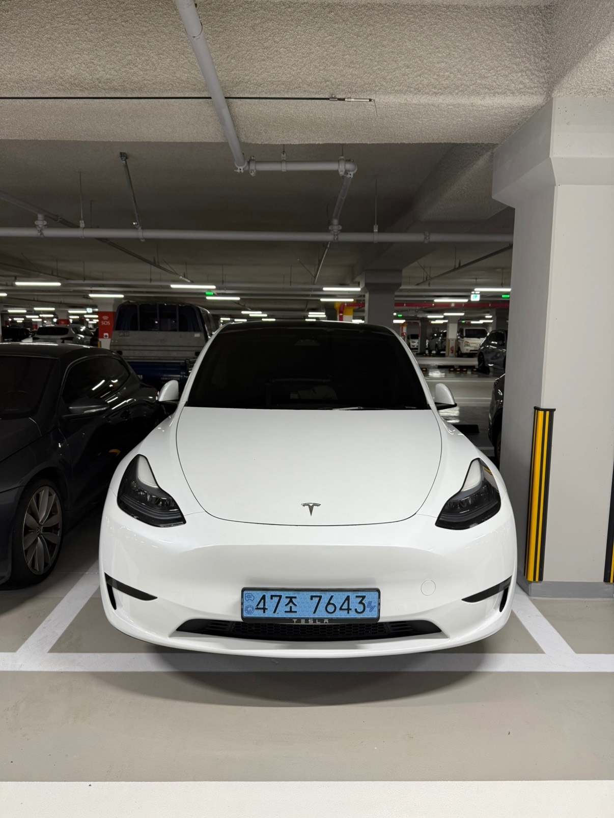 모델 Y BEV(75 kWh) RWD 스탠다드 레인지 매물 썸네일