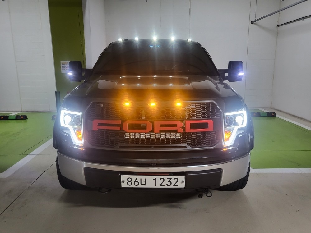 F150 XII 더블캡 4.6 (V8 4WD) (292마력) 매물 썸네일