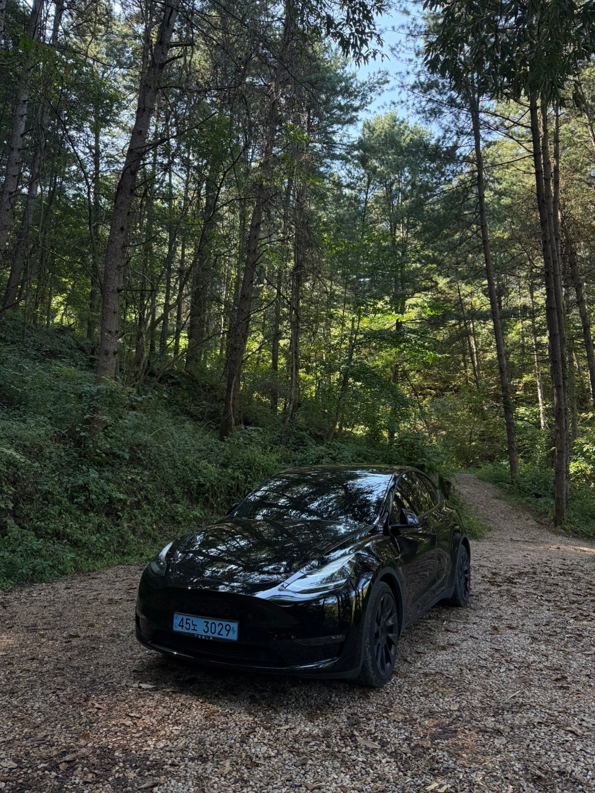 모델 Y BEV(89.2 kWh) AWD 롱 레인지 매물 썸네일