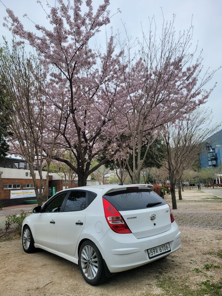 i30 FD 1.6 디젤 FWD 럭셔리 매물 썸네일