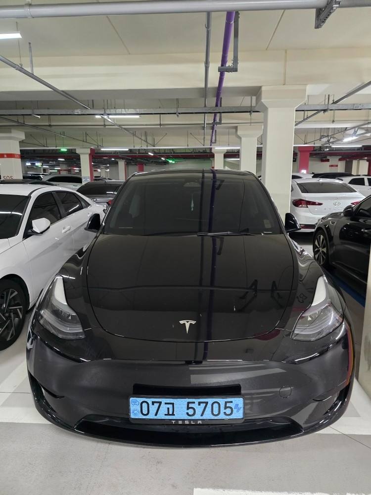 모델 Y BEV(75 kWh) RWD 매물 썸네일
