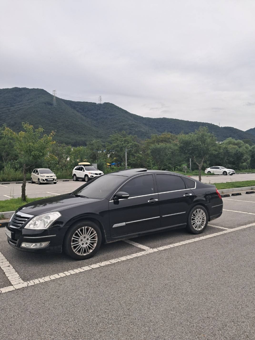 뉴 SM7 아트 EX2 2.3 V6 SE 플레져 매물 썸네일