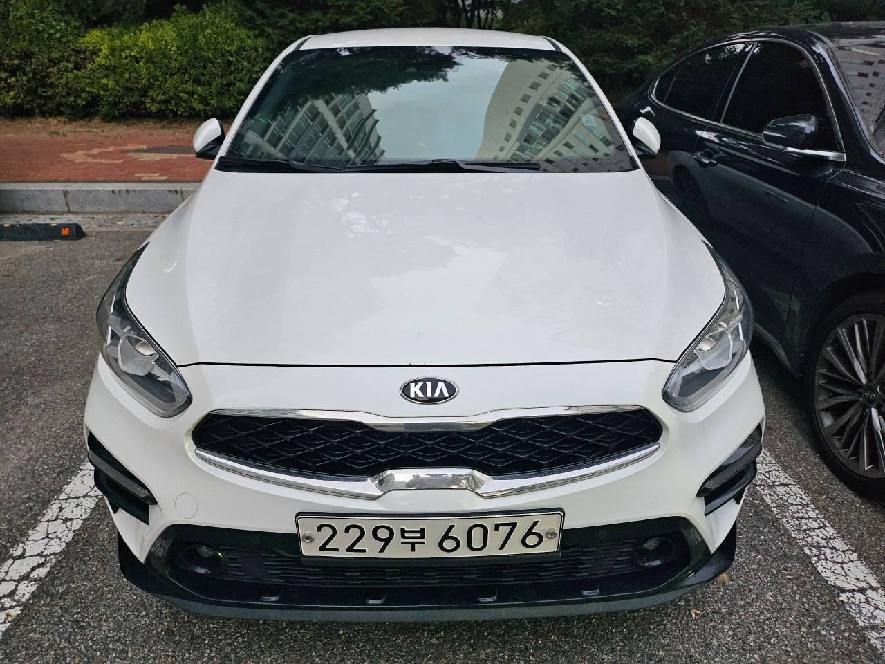 올 뉴 K3 BD 5DR GT 1.6T FWD 프레스티지 매물 썸네일