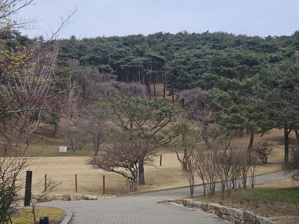 
아는 지인에게 구입해서, 두달? 정 중고차 직거래 (5)