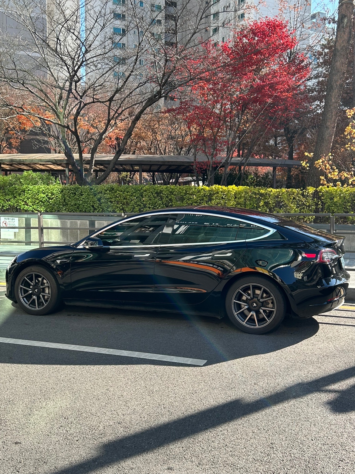 모델 3 BEV(75kWh) AWD 롱 레인지 매물 썸네일