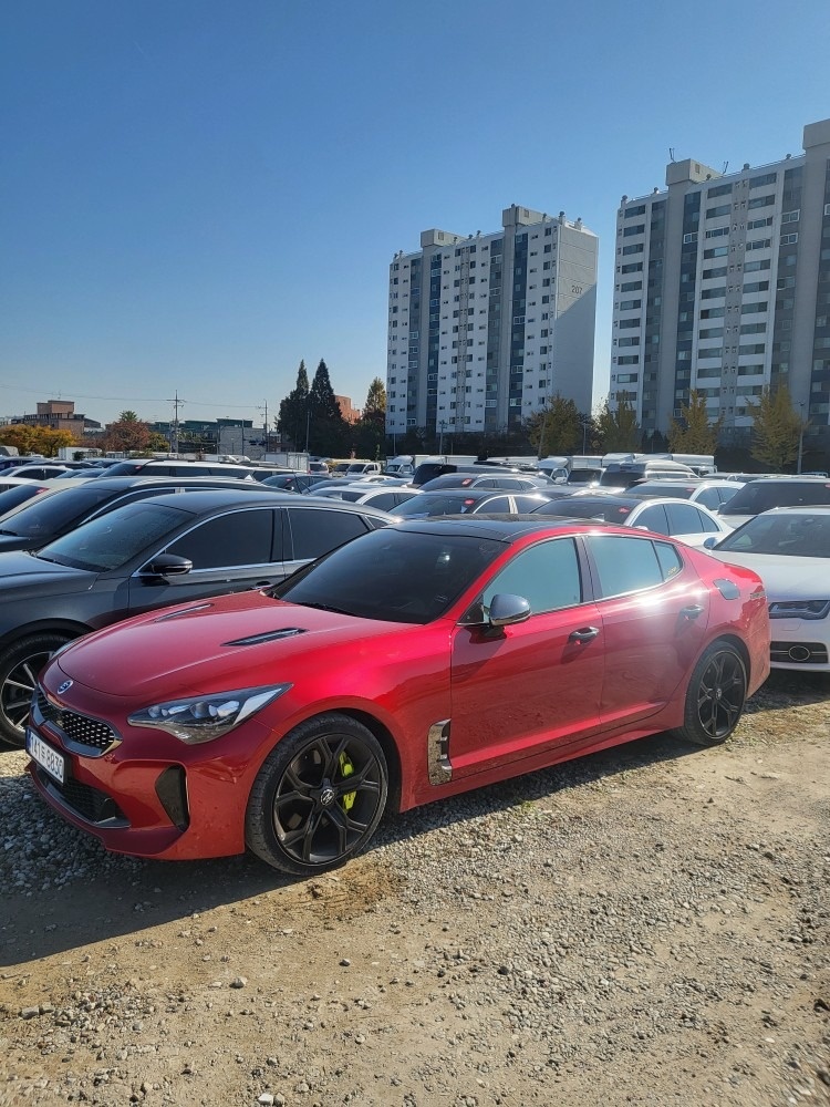 스팅어 CK 3.3T RWD GT 매물 썸네일