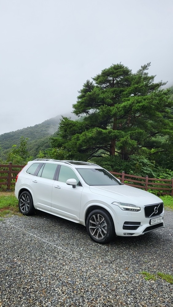 17년형 볼보 XC90 D5 모멘텀  중고차 직거래 (1)