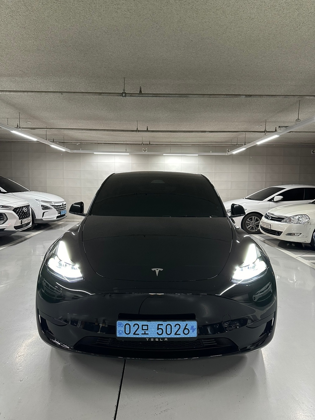 모델 Y BEV(75kWh) RWD 스탠다드 레인지 매물 썸네일