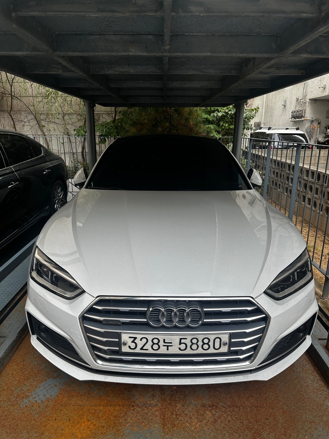 A5 8W 45 TFSI Sportback 콰트로 (252마력) 매물 썸네일