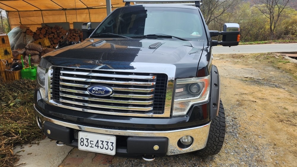 F150 XII 더블캡 3.5 (V6 4WD) (365마력) 매물 썸네일