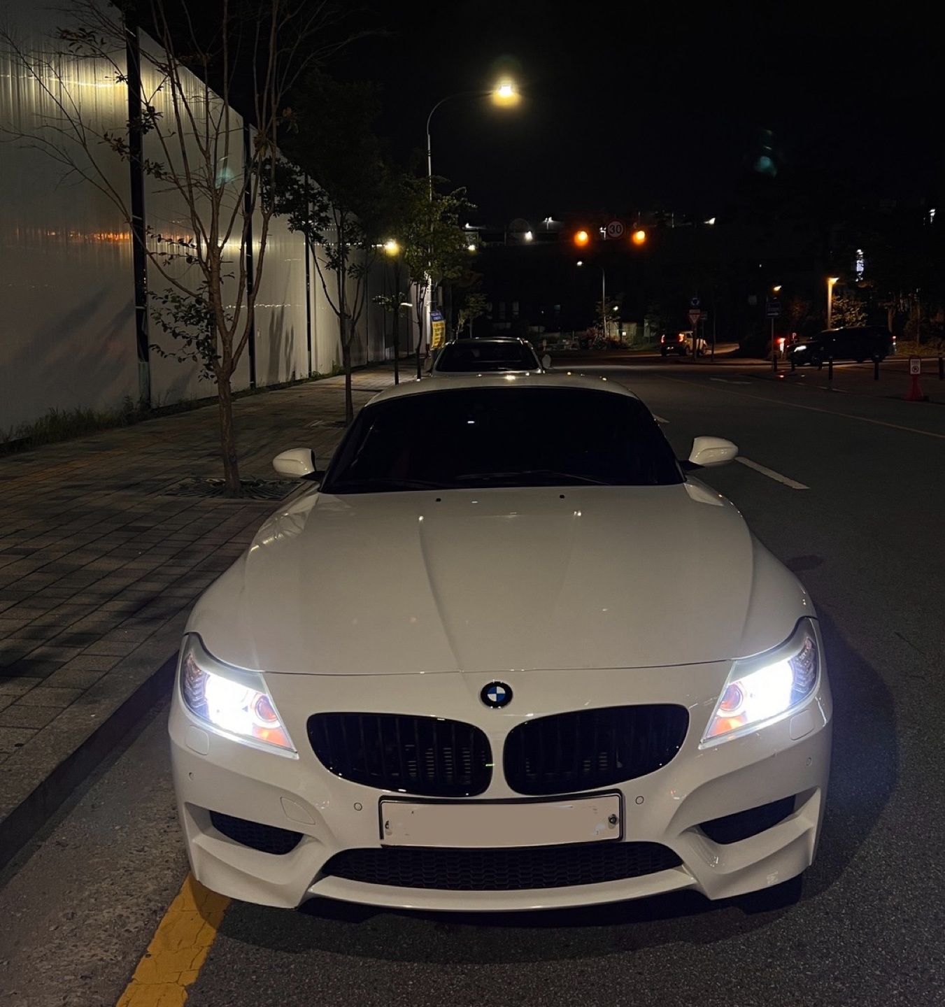 Z4 E89 30 i sDrive (258마력) 매물 썸네일