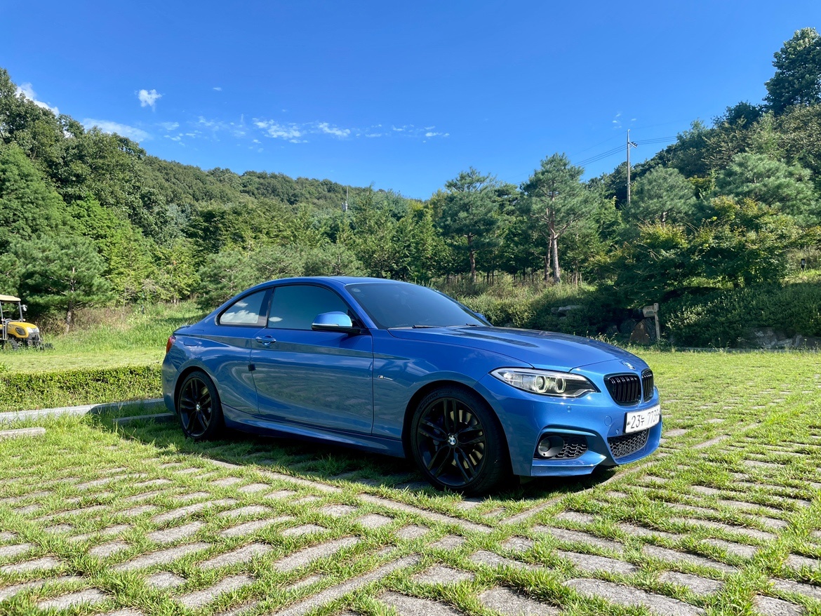 bmw 2시리즈 쿠페 220d 14년 중고차 직거래 (2)