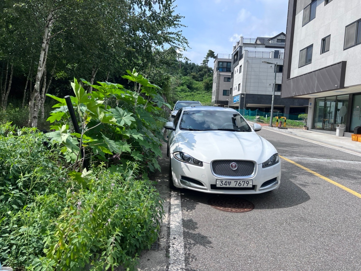 깨끗하게 사용하고 있고, 사고가 없었 중고차 직거래 (3)