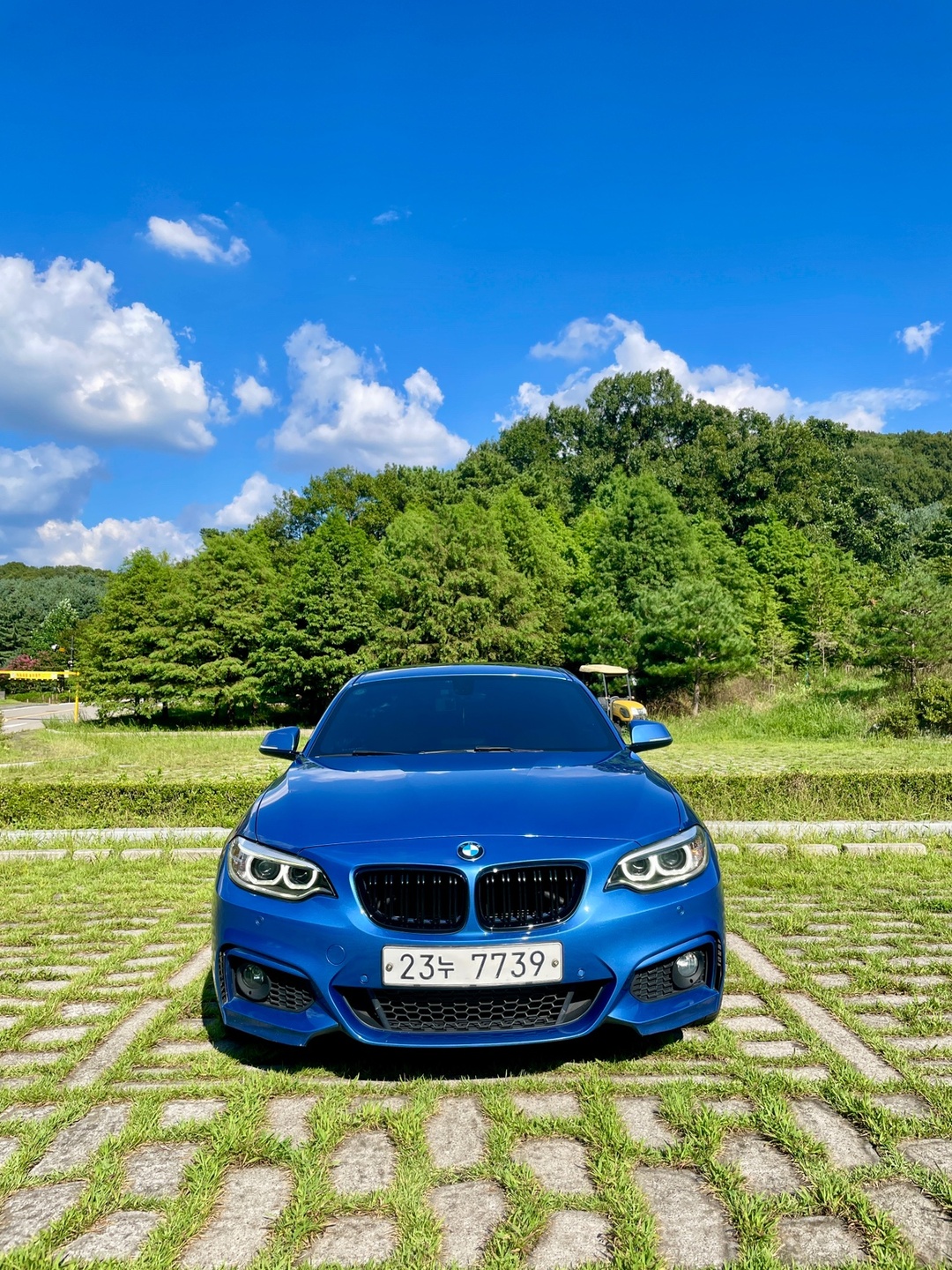 bmw 2시리즈 쿠페 220d 14년