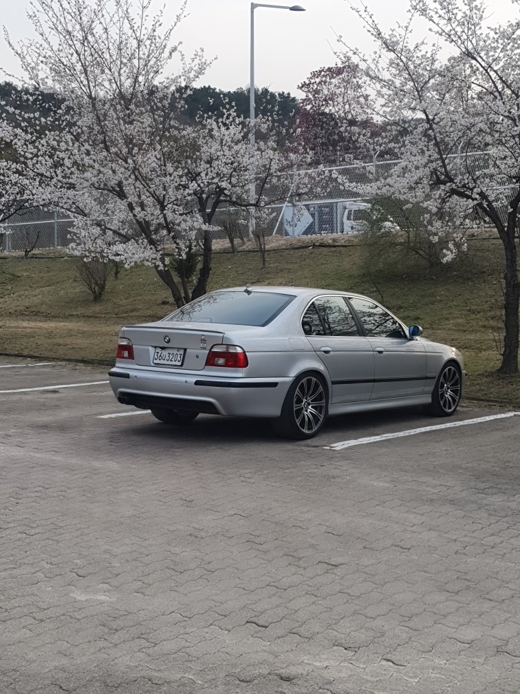 2002년식 E39 520i M5룩  중고차 직거래 (3)