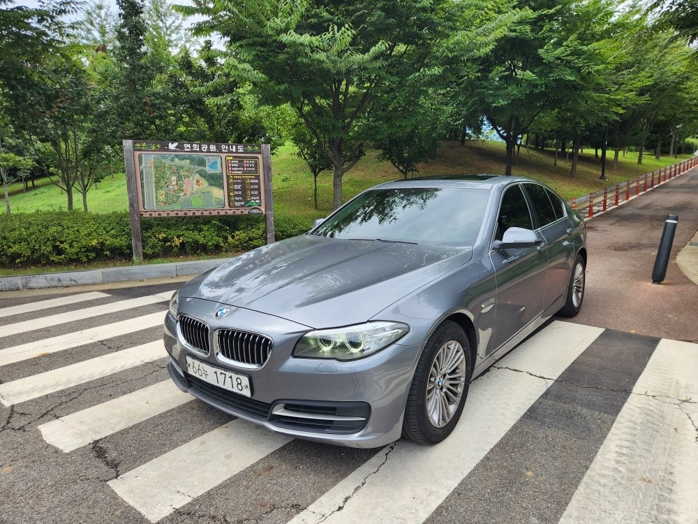 BMW 520d Xdrive (고질병 중고차 직거래 (3)