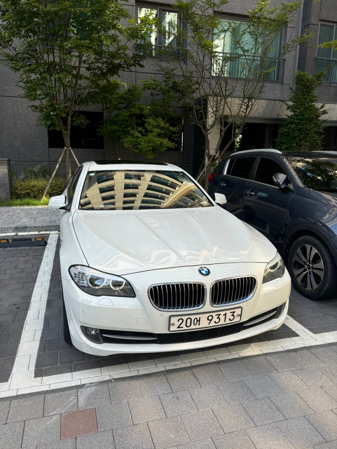 2011년식 BMW 520D 차량 판