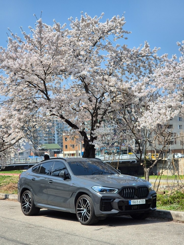 X6 G06 40d xDrive (340마력) 매물 썸네일