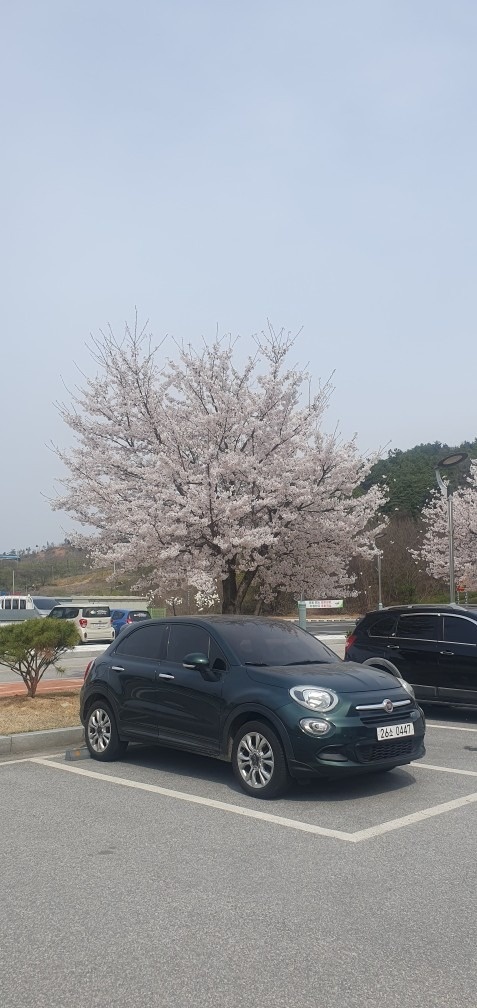 유니크한 외장색 때문에 2년전 구입했 중고차 직거래 (2)