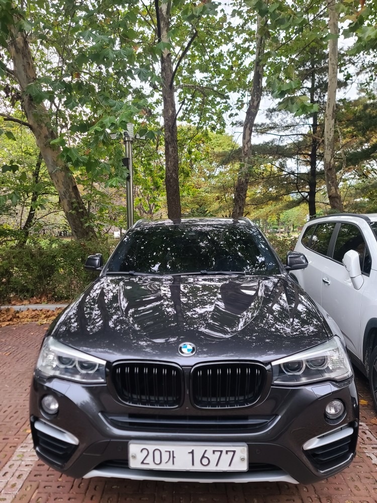 X4 F26 20d xDrive (190마력) 매물 썸네일