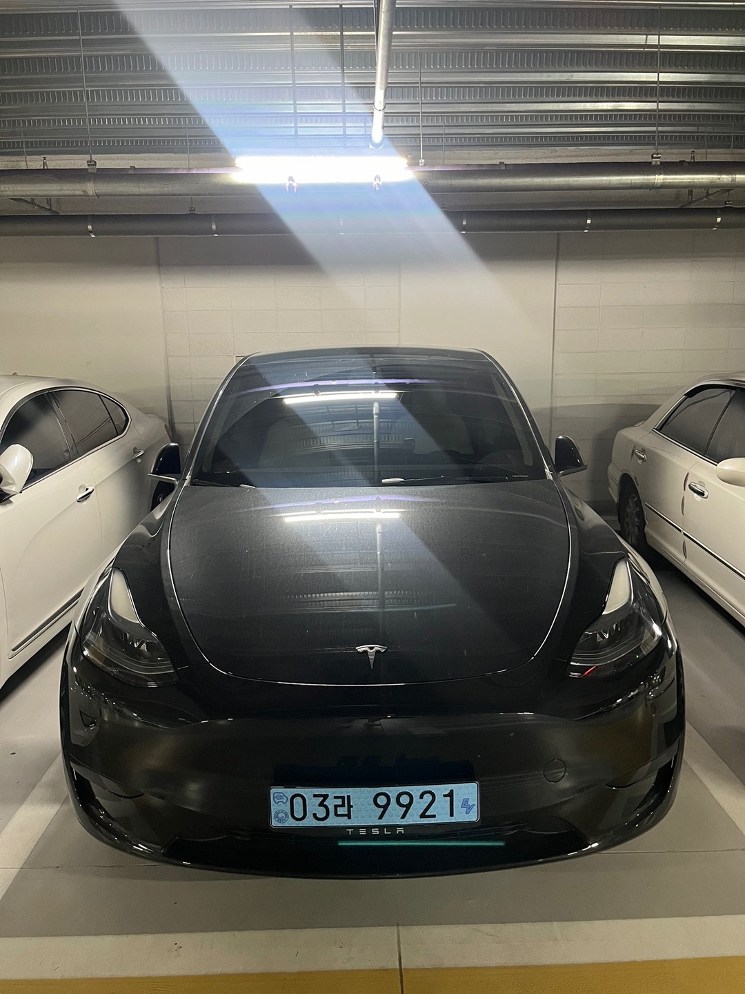 모델 Y BEV(75kWh) RWD 스탠다드 레인지 매물 썸네일