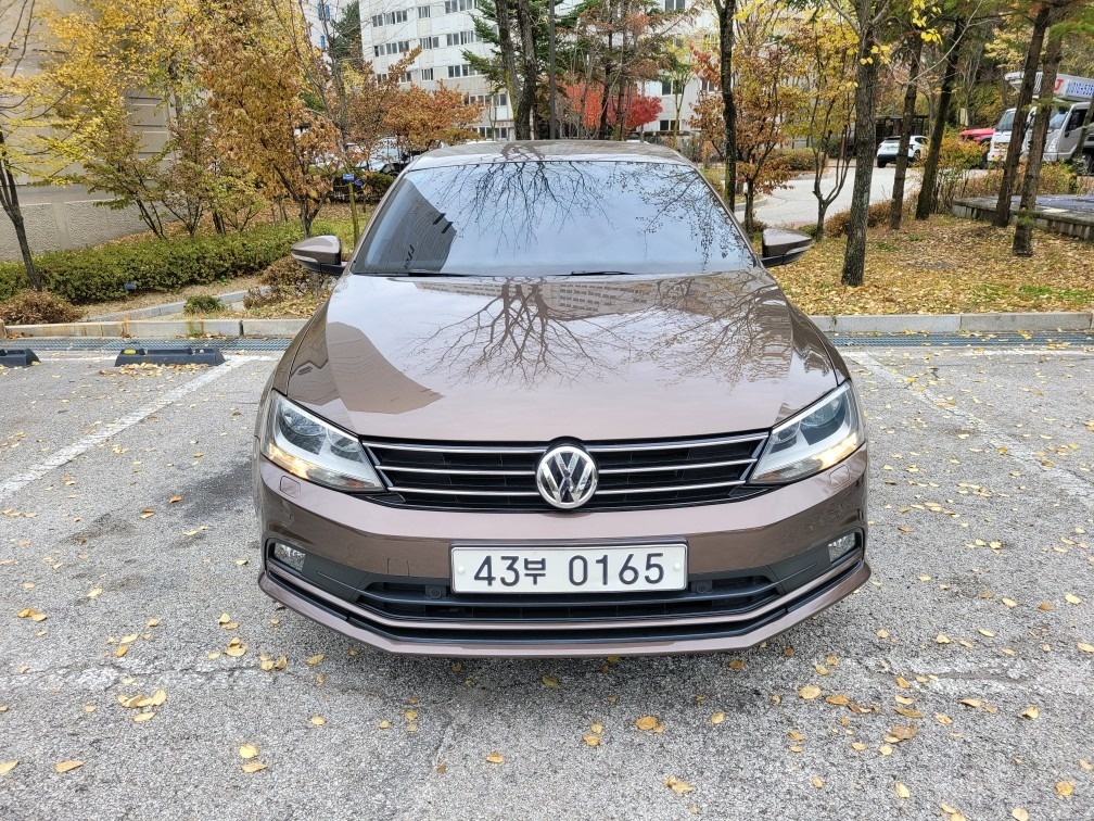 제타 Ⅵ 2.0 TDI BMT (150마력) 매물 썸네일