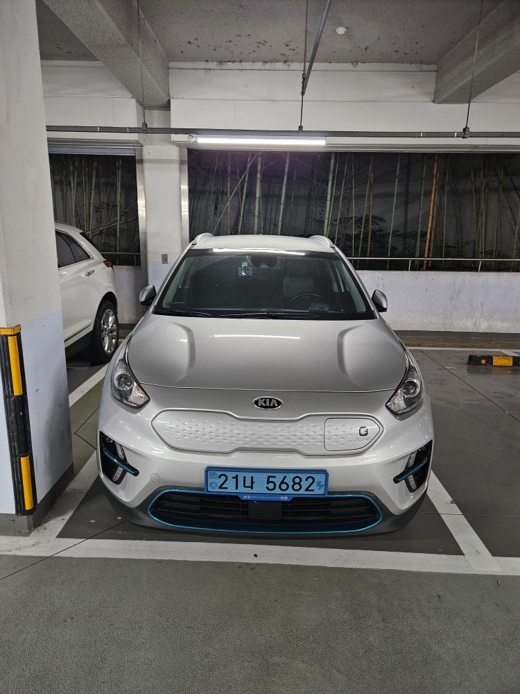 니로 EV DE EV(64kWh) FWD 프레스티지 매물 썸네일