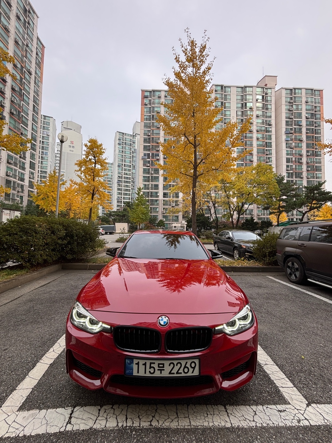 bmw f30 330i msp 쉐도우