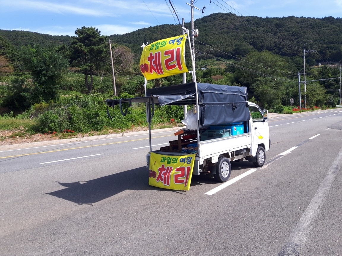 과일판매를 하고 있지만 성격에 맞질않 중고차 직거래 (2)