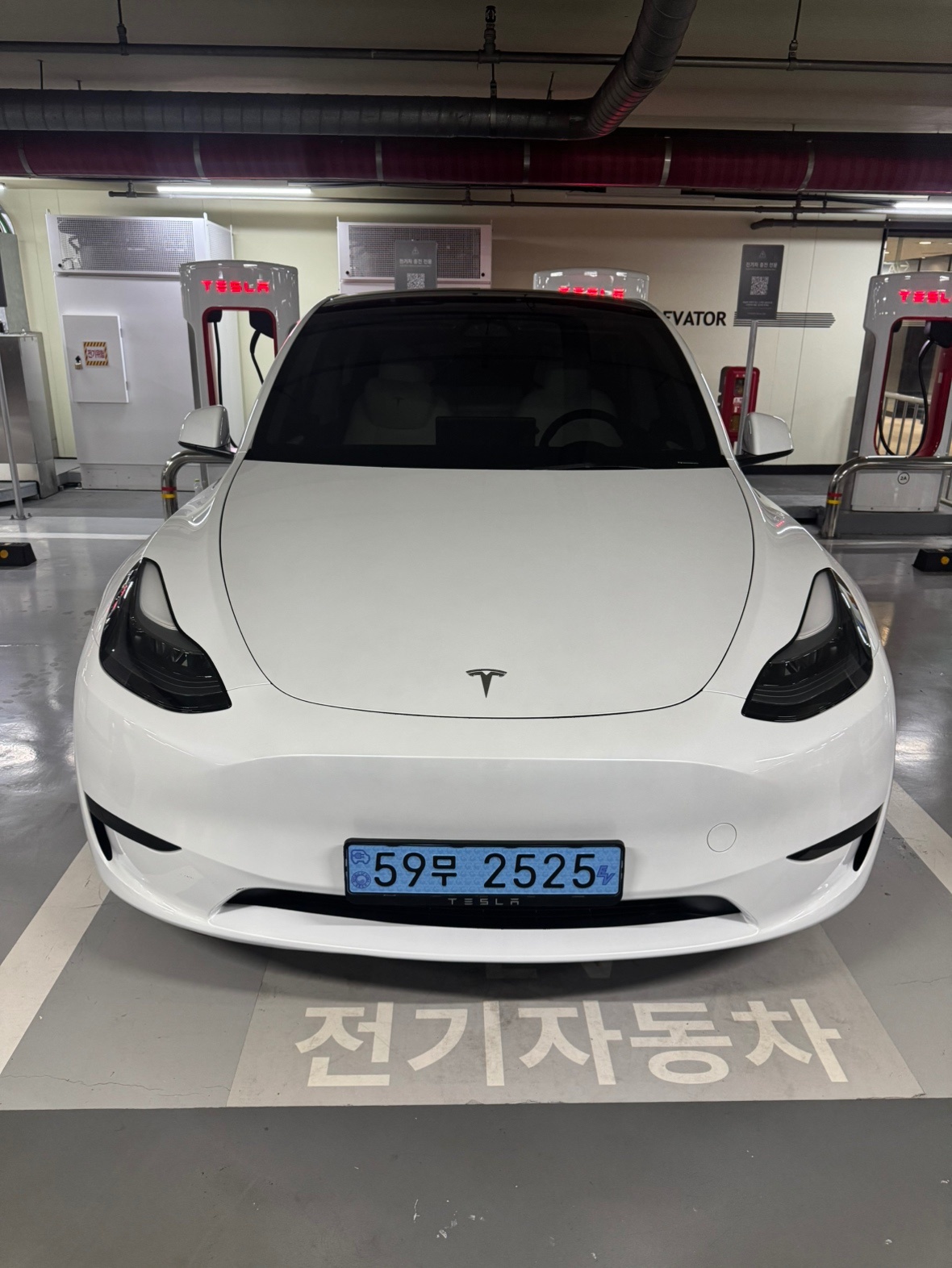 모델 Y BEV(75kWh) RWD 스탠다드 레인지 매물 썸네일