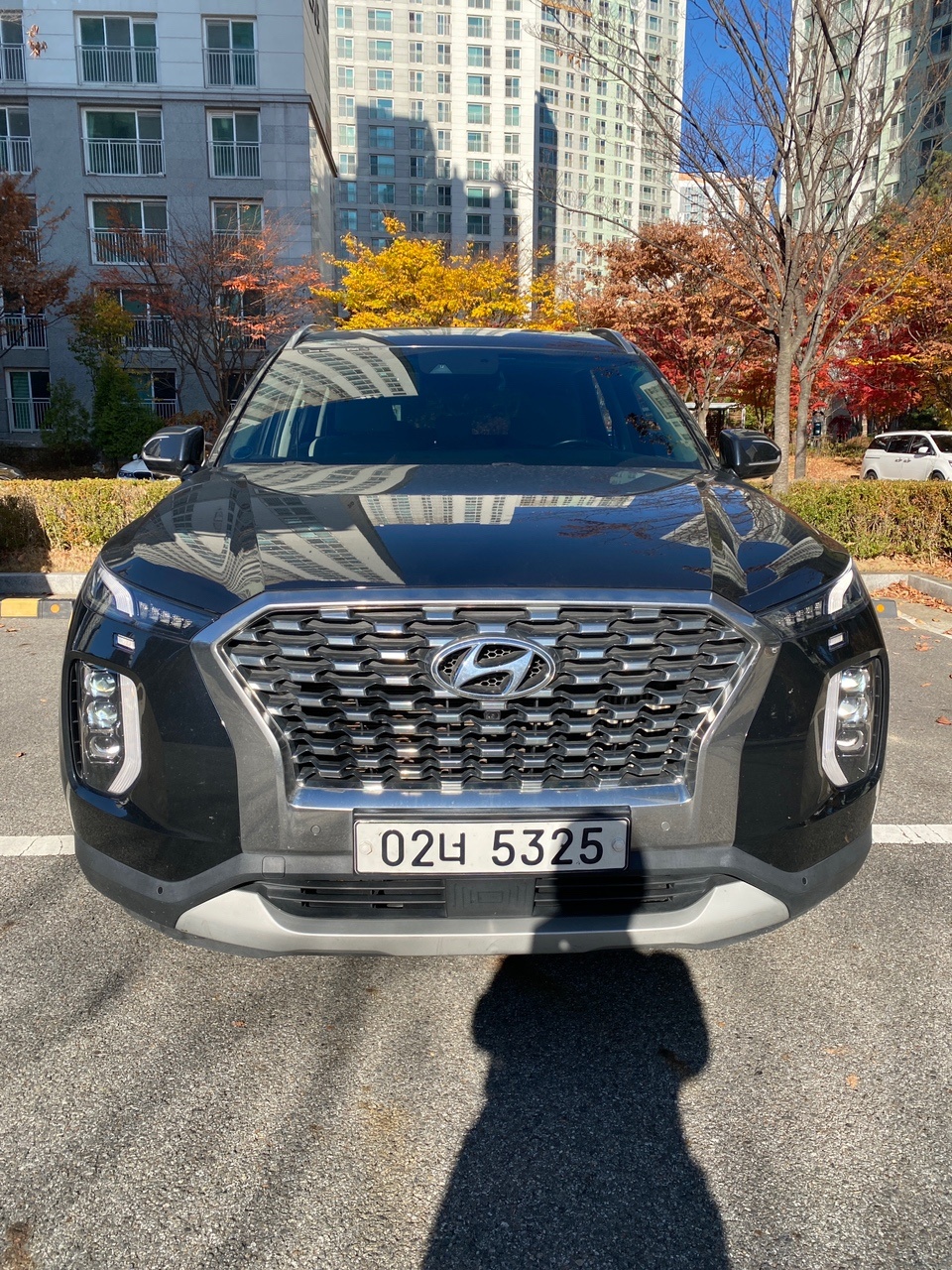 팰리세이드 LX2 8인승(디젤 2.2) 4WD 프레스티지 매물 썸네일