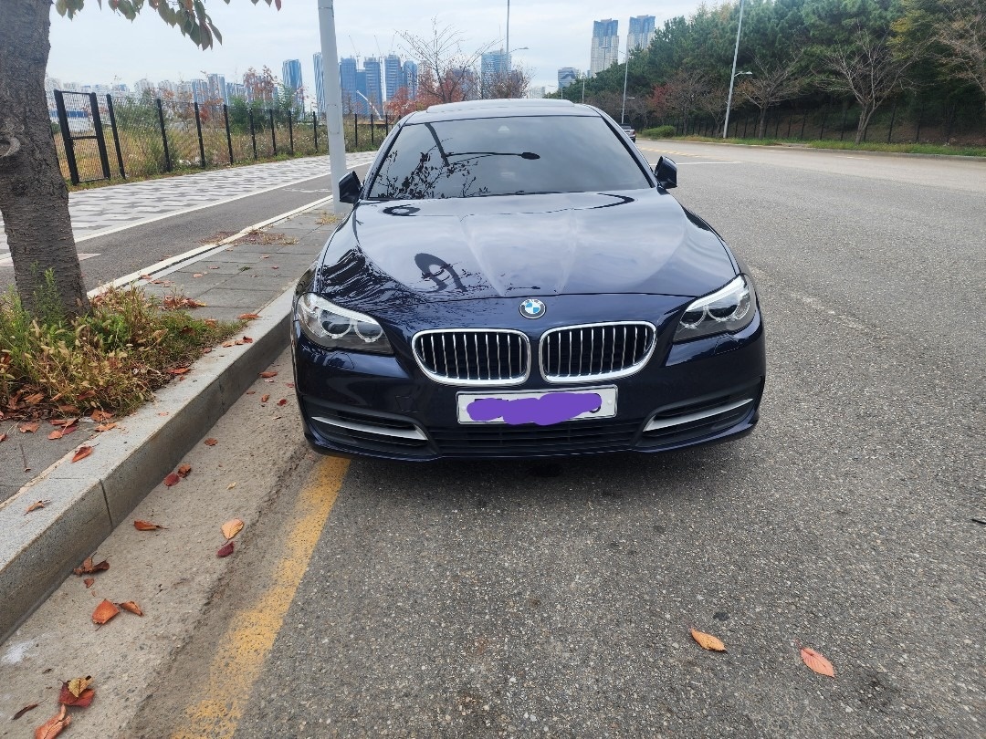 5시리즈 F10 520d xDrive (184마력) 매물 썸네일