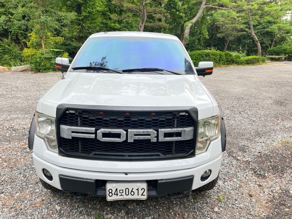 F150 XII 더블캡 5.0 (V8 4WD) (360마력) 매물 썸네일