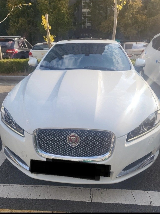 XF X250 2.0 프리미엄 매물 썸네일