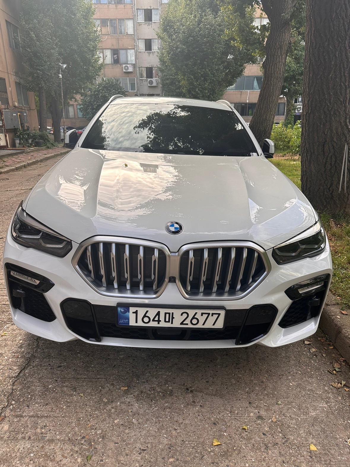 X6 G06 30d xDrive 전기형 (265마력)M Sport 매물 썸네일