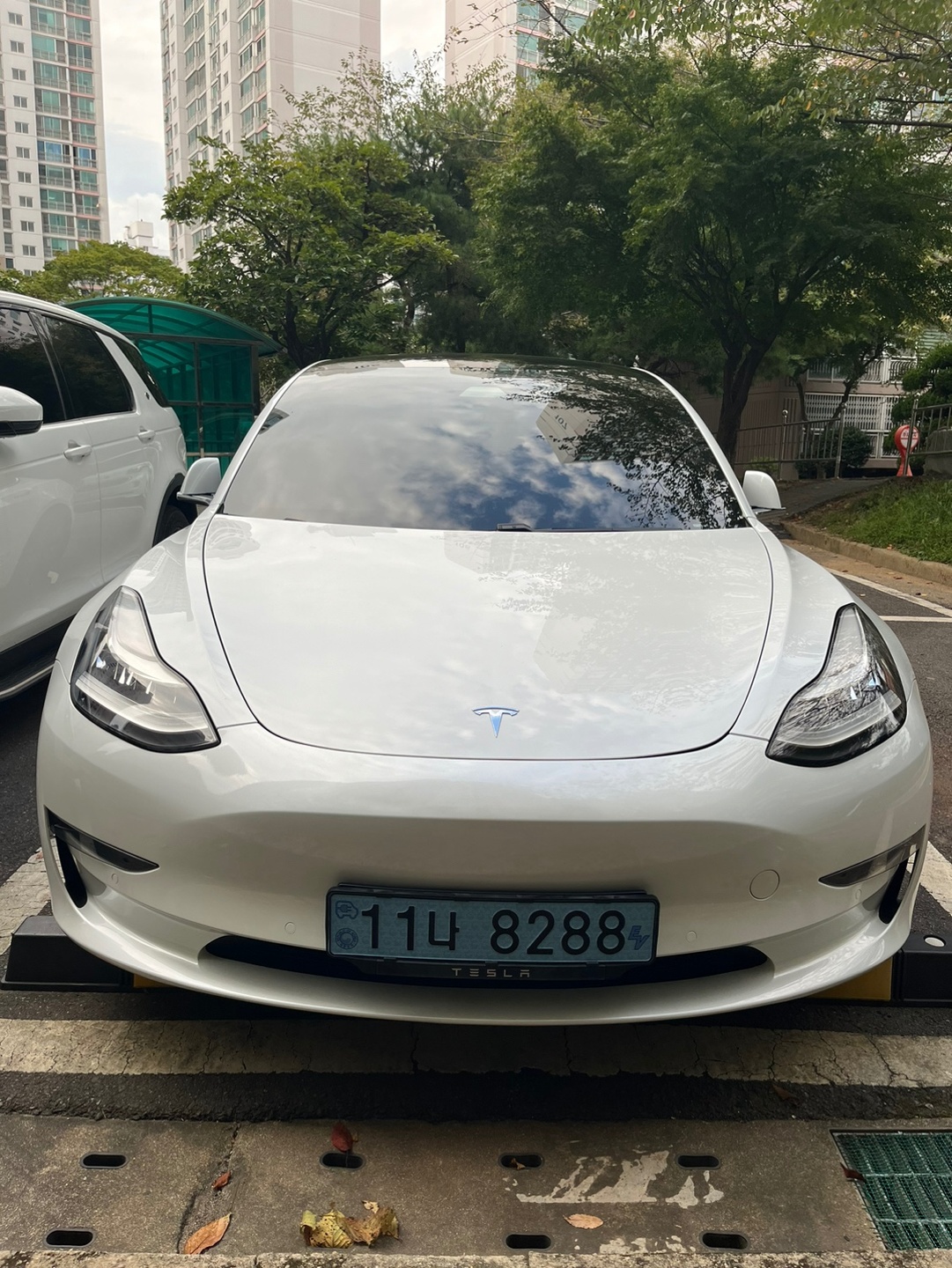 모델 3 BEV(50kWh) RWD 스탠다드 레인지 플러스 매물 썸네일