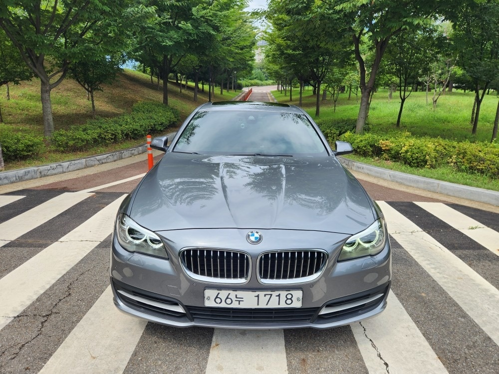 BMW 520d Xdrive (고질병