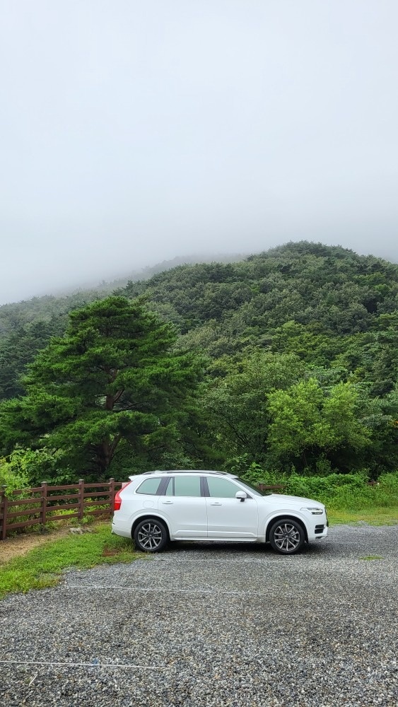 17년형 볼보 XC90 D5 모멘텀  중고차 직거래 (2)