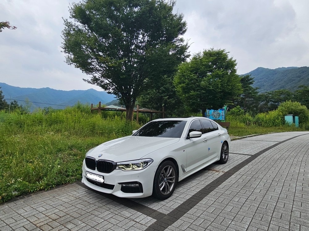 5시리즈 G30 520d xDrive (190마력) 매물 썸네일