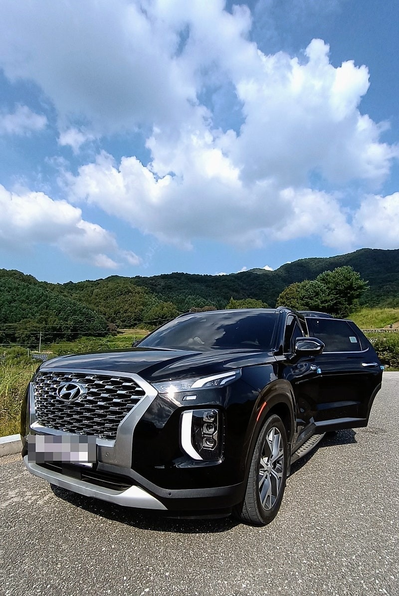 팰리세이드 LX2 7인승(디젤 2.2) 4WD 프레스티지 매물 썸네일