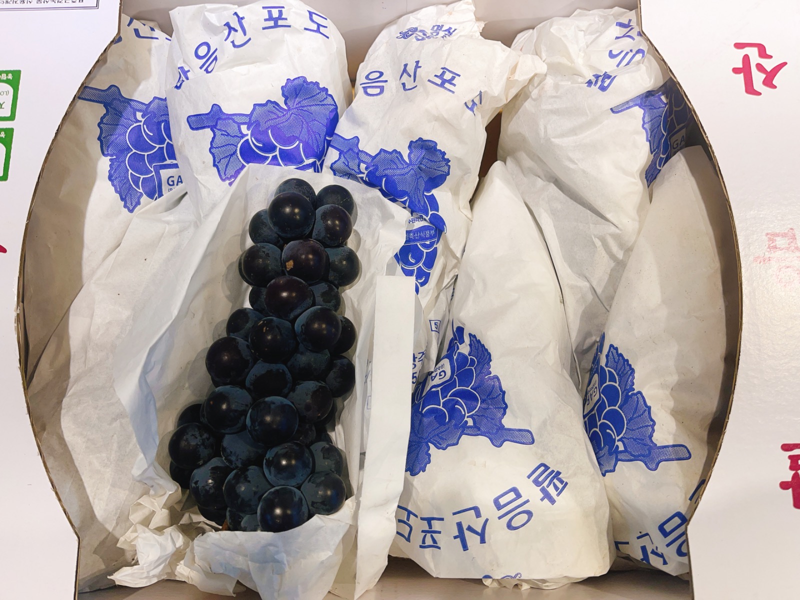 달콤 팔음산 켐벨 포도 3kg (특) 상품 사진