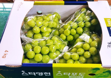 백화점판매 프리미엄 샤인머스켓 1kg 14,900 원!! 상품 썸네일