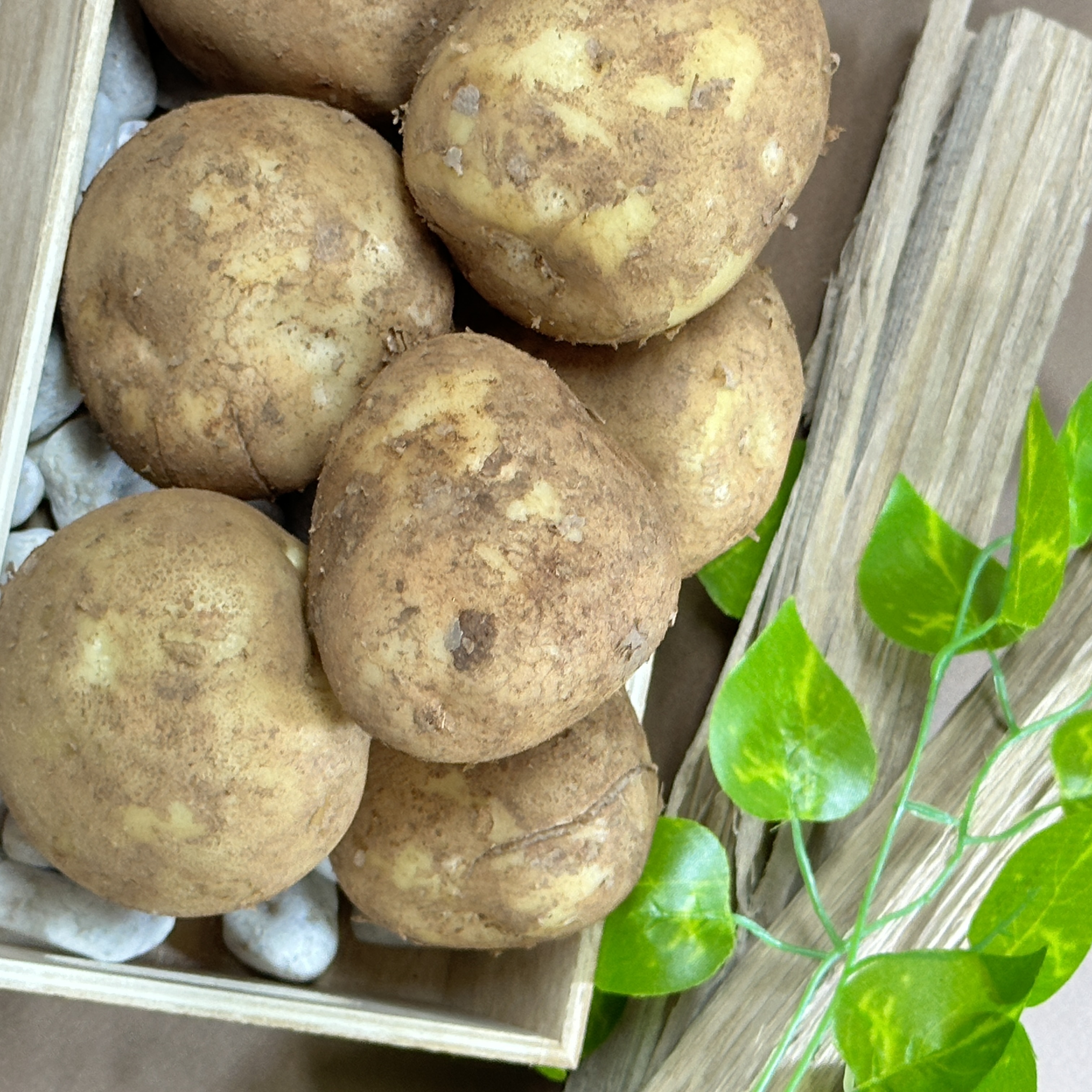 25년 햇감자 1kg 5500 원 채팅문의! 상품 썸네일